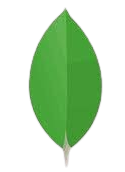 MongoDB